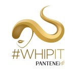 Whip It Logo