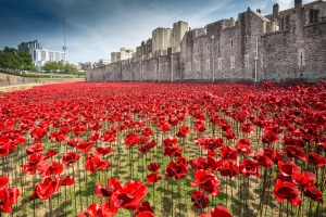 poppy_installation_4_august_copyright_rleahairhrp__32__-_low_res-