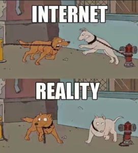 internet-vs-reality